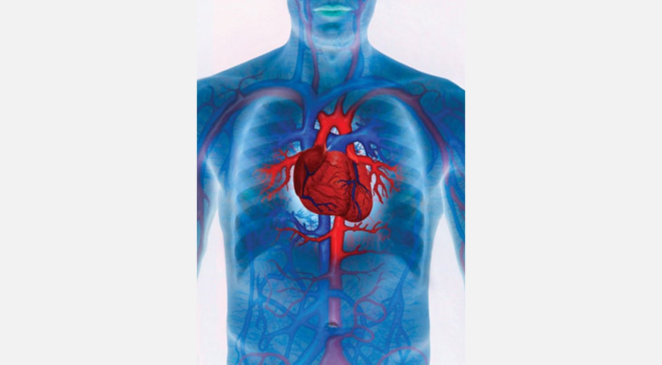 FAECAP participa en el estudio del estado de la prevención cardiovascular en España